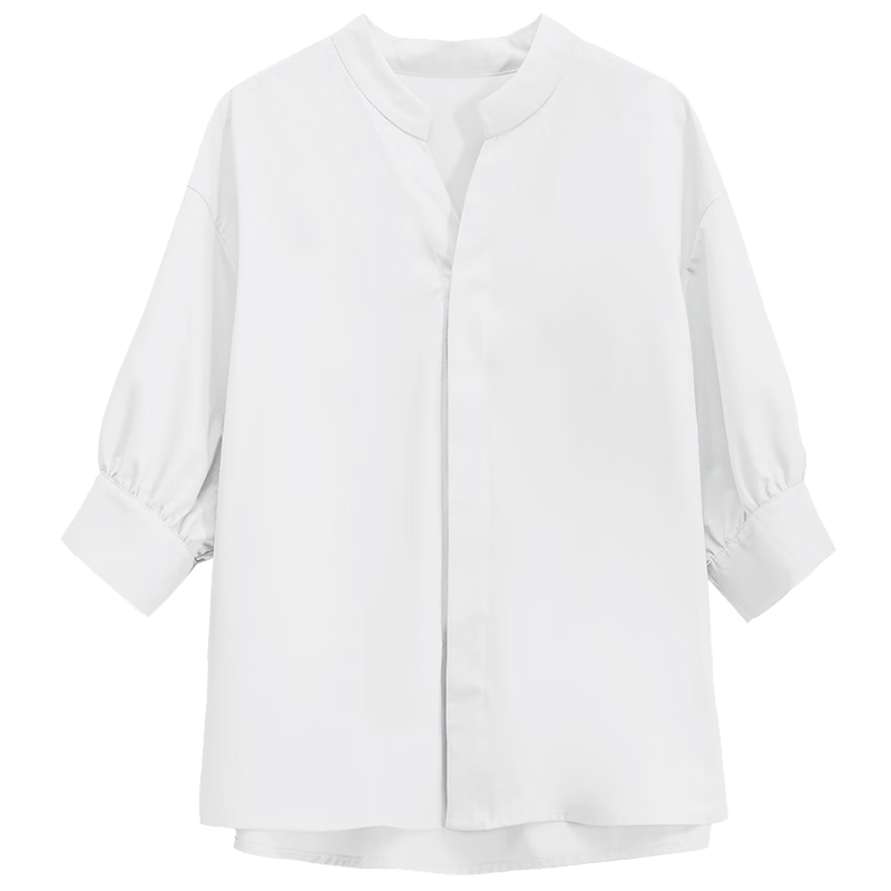 Dajiasi Women's White Short Sleeve Shirt Formal 2026 Summer New Interview Workplace Commuting Elegant Professional White Shirt