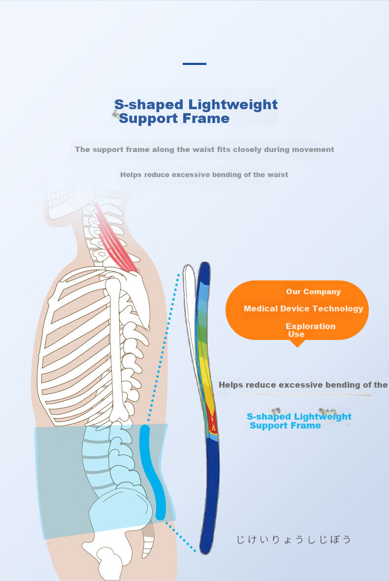 MEDIAID Japan Imported Lightweight Breathable Lumbar Support Belt for Disc Herniation, Unisex Back Pain Relief Waist Brace, Size M 6