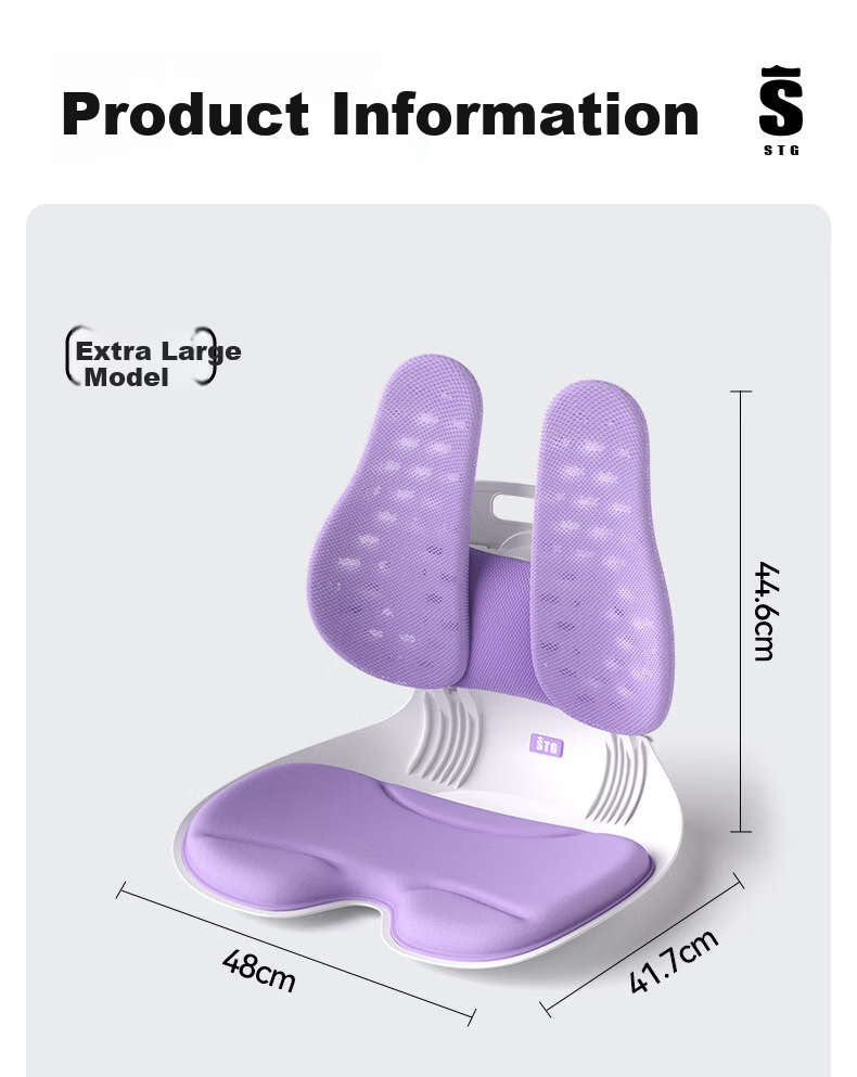 SITGOOD Lumbar Support Seat Back Cushion Waist Pillow Posture Chair Lumbar Cushion STG Seat Cushion Pillow Gift Office Lumbar Support Cushion 29