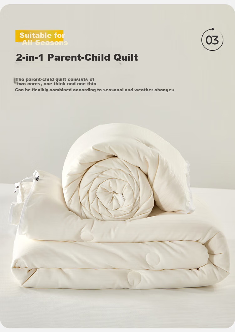 Dohia Home Textile Dual-Layer 2-in-1 Thickened Soybean Quilt Winter Comforter 10.7 lbs 230x229cm 5
