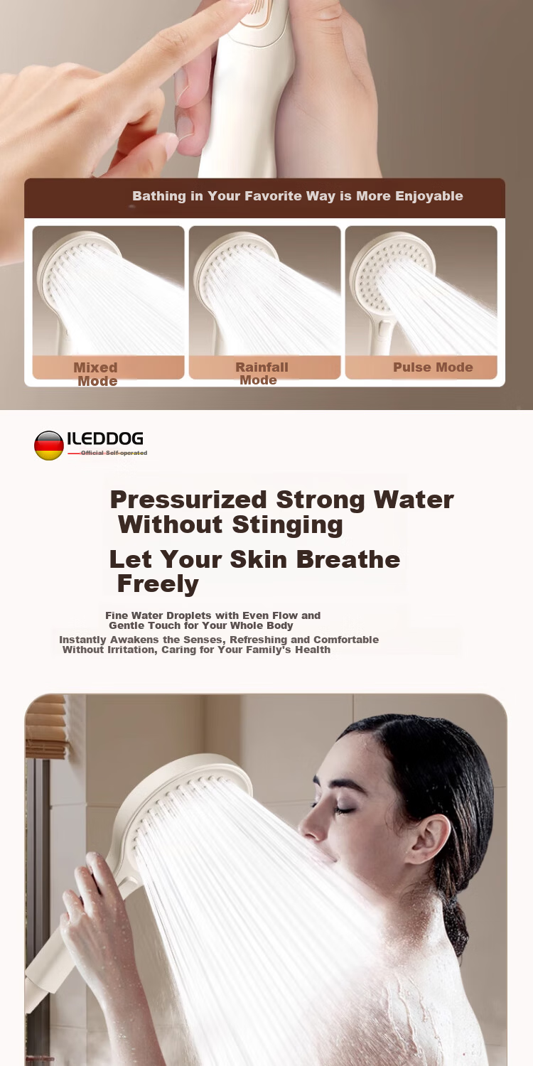 ILeddog [Germany] High-Pressure Shower Head Handheld Bathroom Rainfall Shower DS-248 8