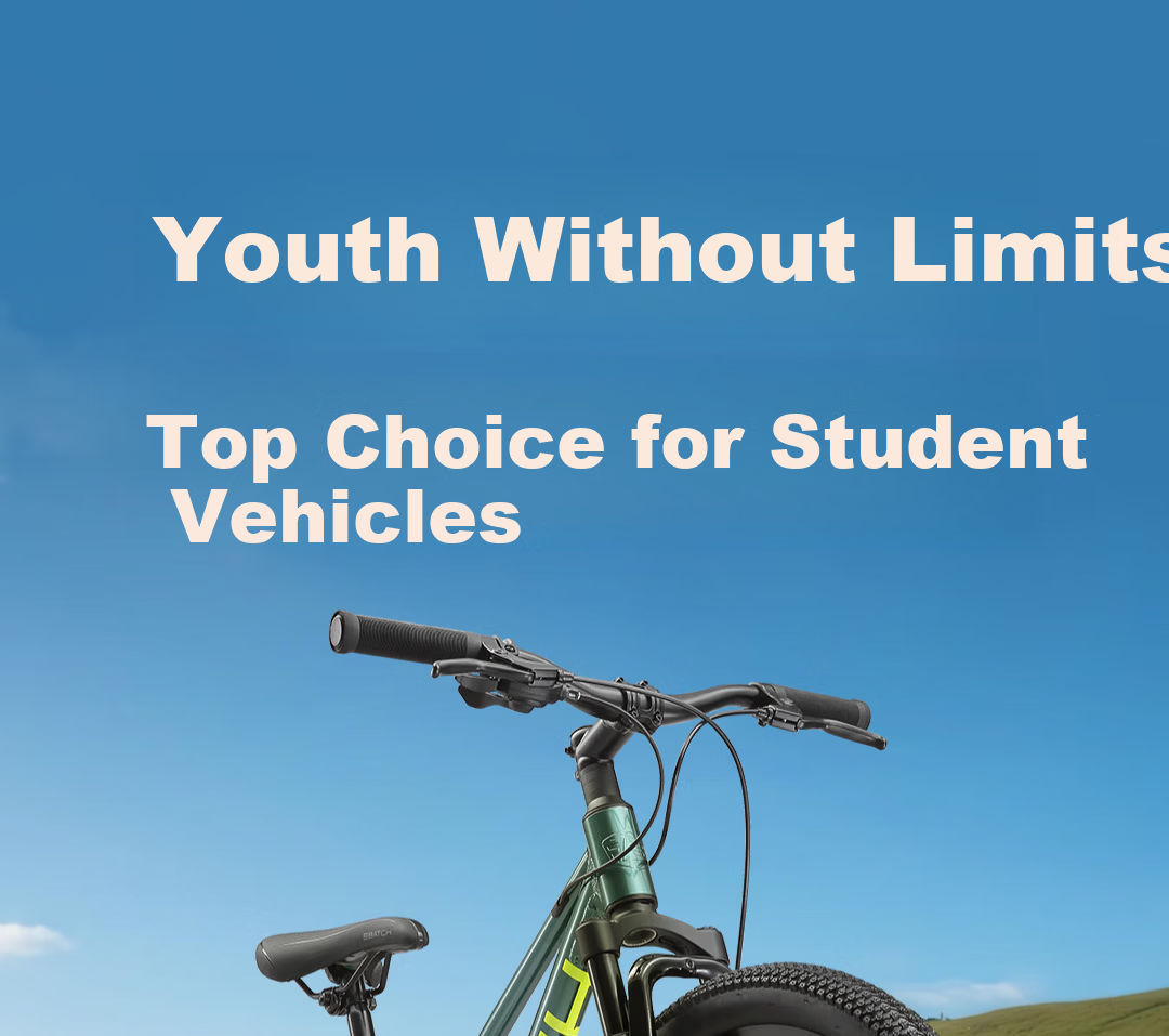 Baiqi Y2 Mountain Bike Youth School Commuter Bicycle 24 Inch 8-Speed Tundra Green 2
