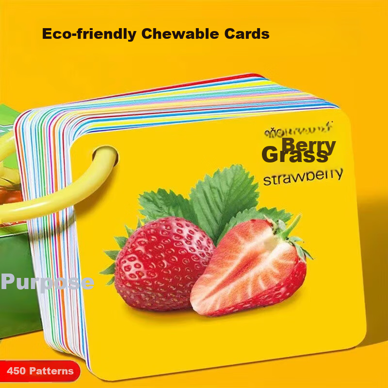 Danmiqi Early Education Cognitive Cards for Toddlers 0-6 Years Old Baby Picture Word Recognition Fruit and Number Task Cards Toy