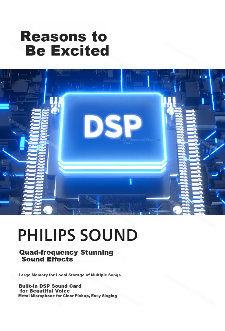Philips Karaoke All-in-One Home KTV Sound System with Screen, Outdoor Portable Bluetooth Singing Speaker, SD370 Microphone 3