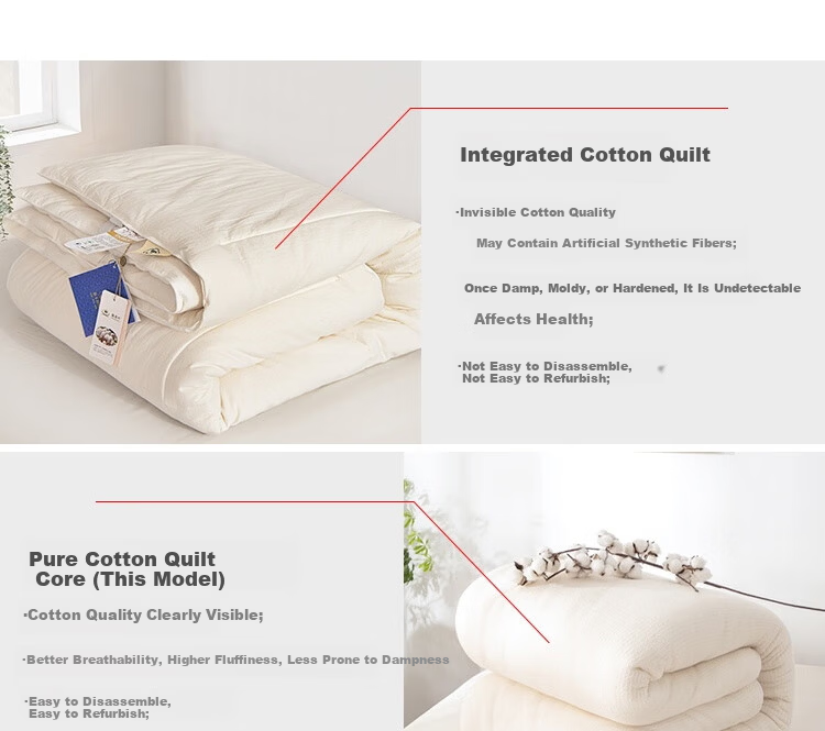 Ranpai Hotel Bedding Set, Pure Cotton, Includes Quilt, Mattress Pad, And Pillow, Three-Piece Set, Duvet Insert 3 Jin (1.5 Kg), for 1.2-Meter Bed, White 15