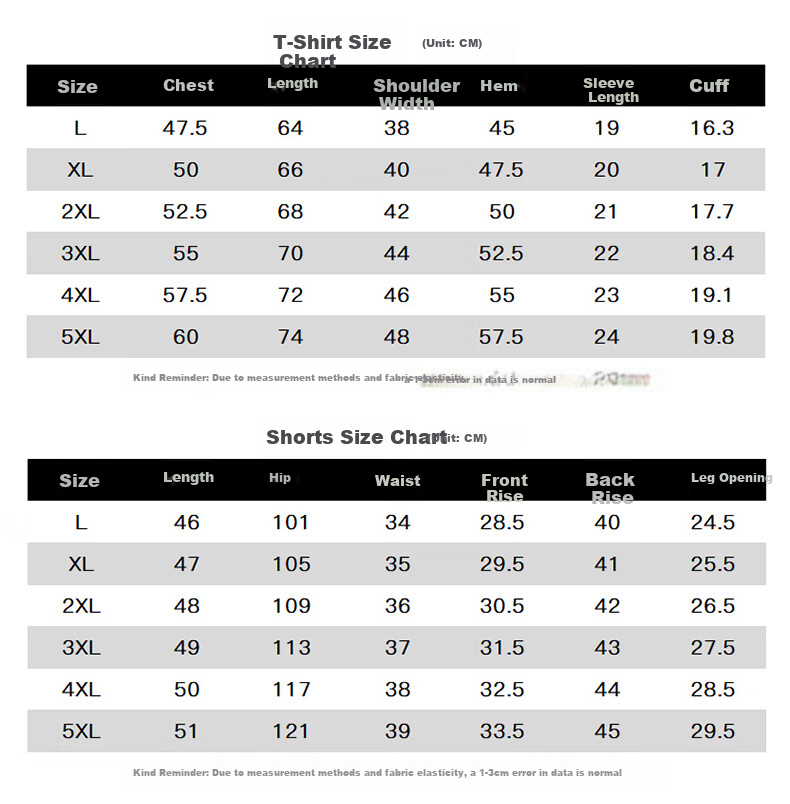 ROMON Men's Summer Ice Silk Casual Short Sleeve T-Shirt and Shorts Set Sportswear TZ2401 Gray XL 2