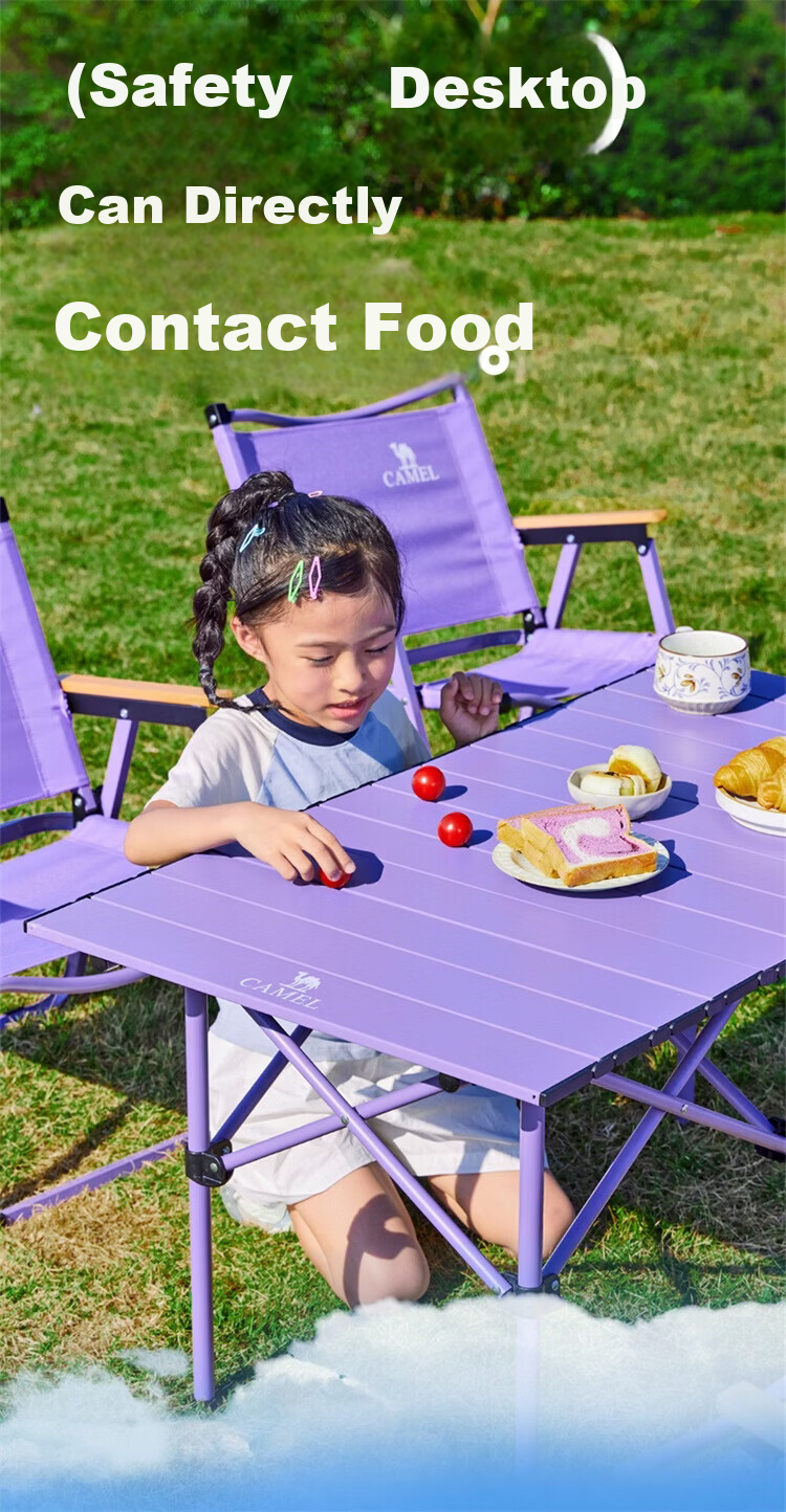 CAMEL Outdoor Camping Portable Lightweight Leisure Fishing Chair Camping Equipment Kemit Folding Chair P016F Night Purple 5