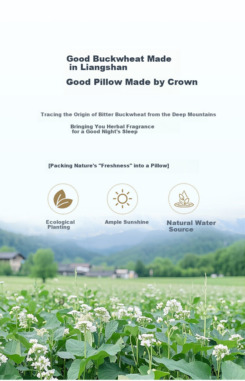 CROWN Buckwheat Pillow Pure Cotton Class A 100% Buckwheat Hull Neck Support Pillow Core for Deep Sleep Pair of 2 8