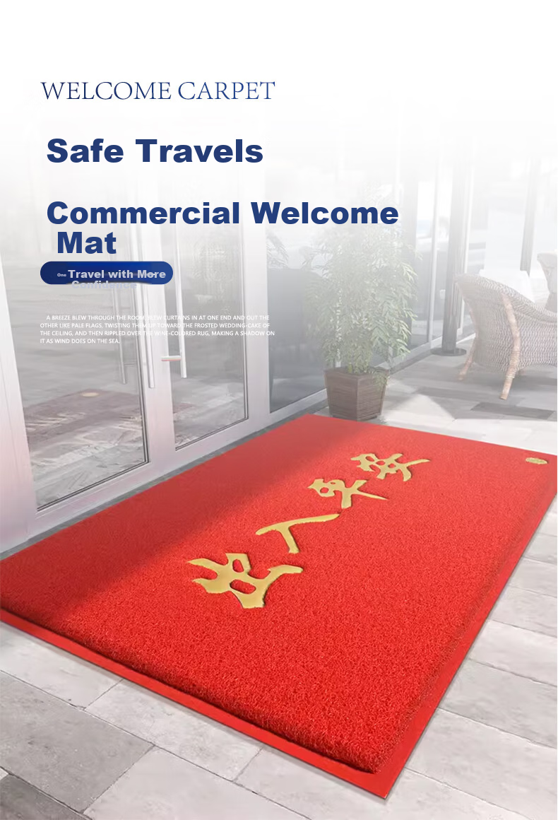 Cuttlefish Safe Entry Door Mat 60x90cm Thickened Silk Loop Non-Slip Entrance Rug Carpet 2