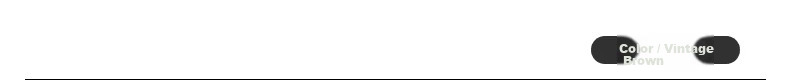 TonLion 2025 Winter New Casual Women's Elastic Waist Fleece Lined Stylish Versatile Autumn Winter Lazy Style Pants 22