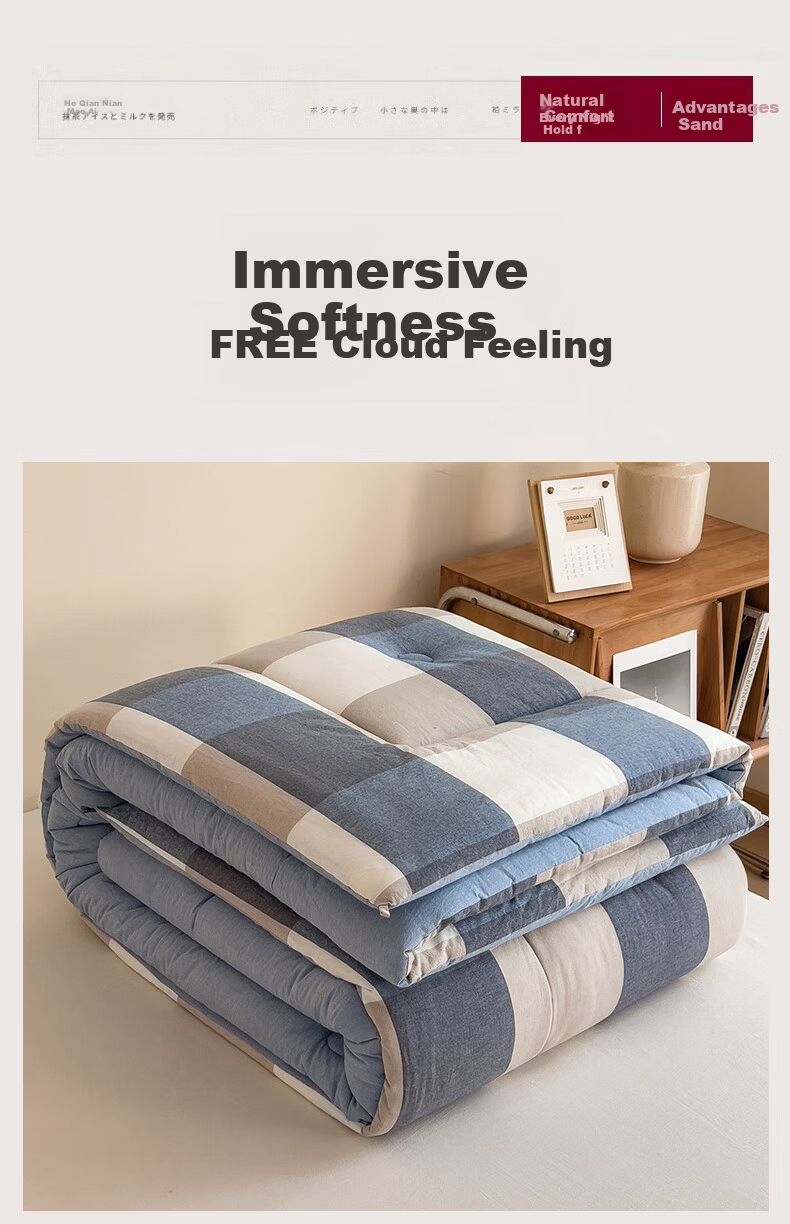 Aiwei Single Quilt Thickened Winter Comforter Cotton Quilt 4 Jin 150*200cm [Blue Large Check] 2