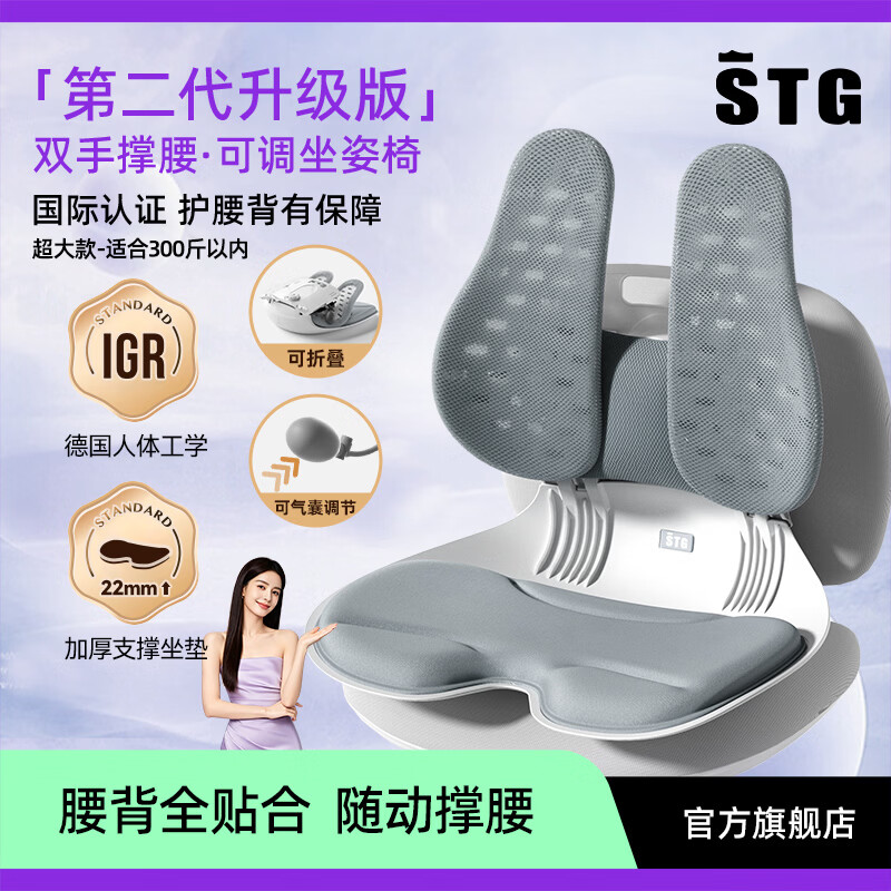 SITGOOD Lumbar Support Seat Back Cushion Waist Pillow Posture Chair Lumbar Cushion STG Seat Cushion Pillow Gift Office Lumbar Support Cushion