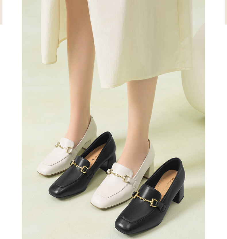 Red Dragonfly Mary Jane Women's Spring 2026 Chunky Heel Commuter Leather Loafers High Heels WFB16049 Black Size 38 8