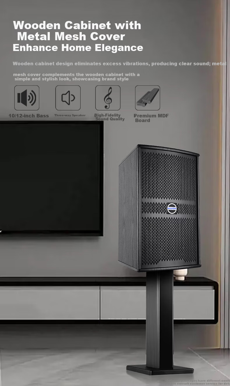 HYUNDAI HY10S Home KTV Sound System Full Set Singing Equipment Three-Way Home Theater Karaoke System 3