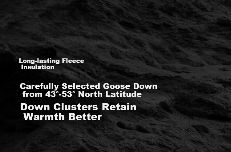 Bosideng Off-Season Extreme Cold 90% Goose Down Women's Winter Thickened Hooded Short Jacket Celebrity Style 14