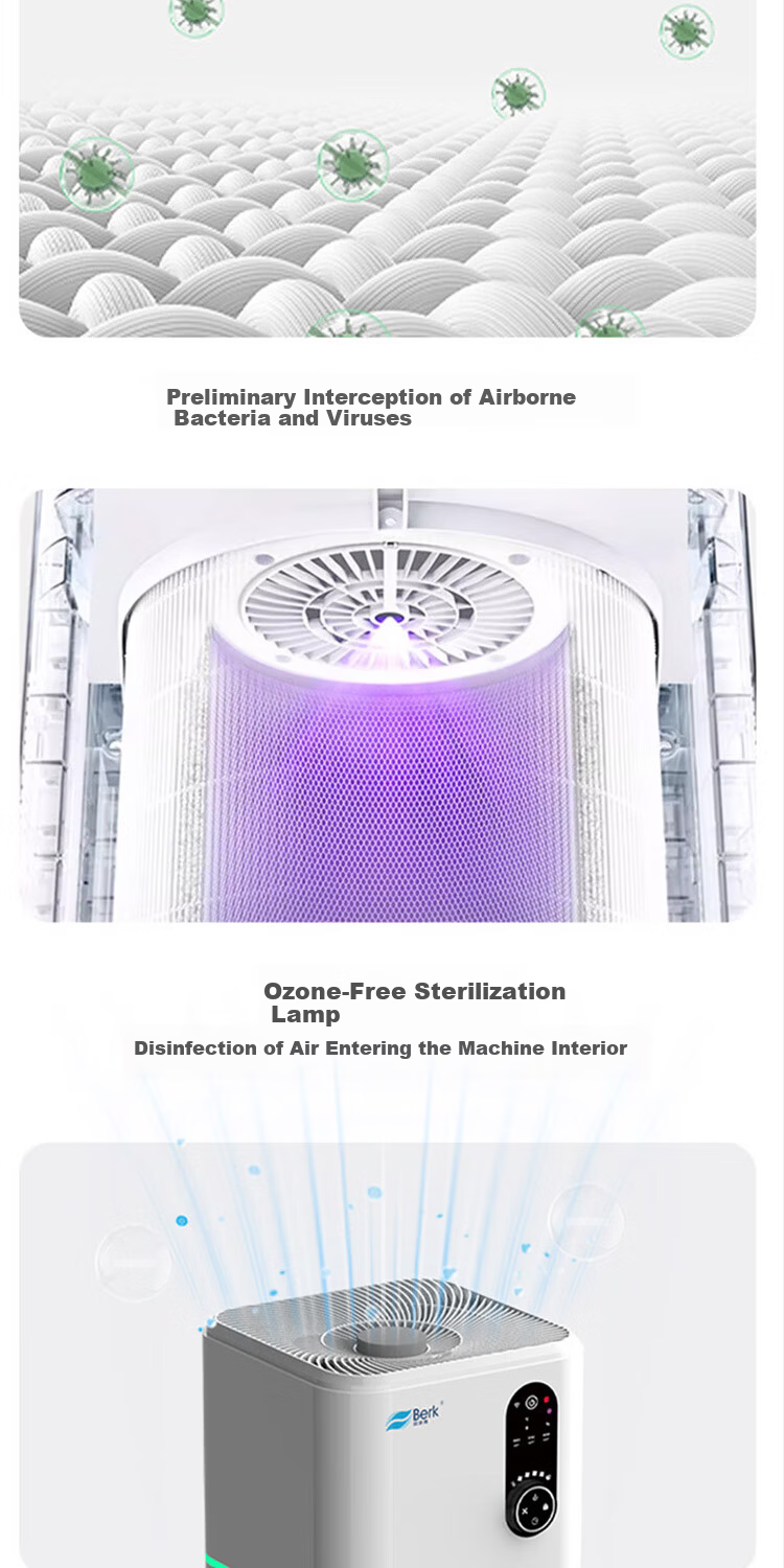 Belker Formaldehyde Removal Air Purifier D6S - Removes Toluene, Odors, Disinfects, Kills Germs, Flu Prevention, Filters Secondhand Smoke and Dust for Home and Office 4