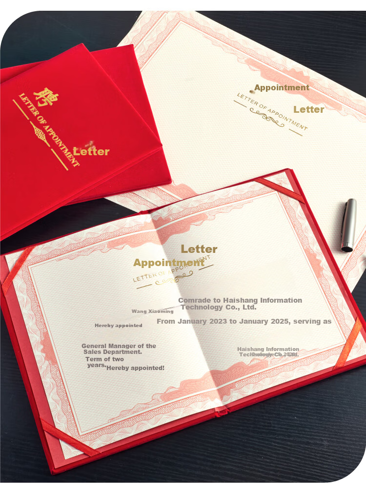 DSB (Disbi) [10-Pack] Large 12K Appointment Certificate Cover for Company Employee Award Certificates, Classic Gold Stamping Style (Includes 20 Inner Pages) 050818 13