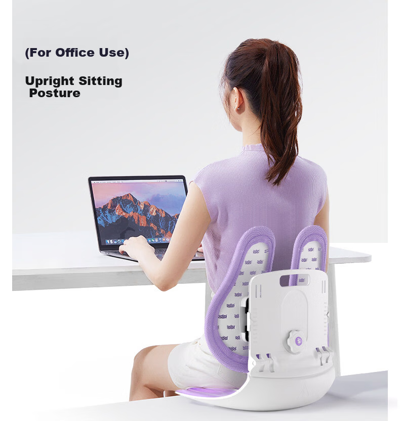 SITGOOD Lumbar Support Seat Back Cushion Waist Pillow Posture Chair Lumbar Cushion STG Seat Cushion Pillow Gift Office Lumbar Support Cushion 15