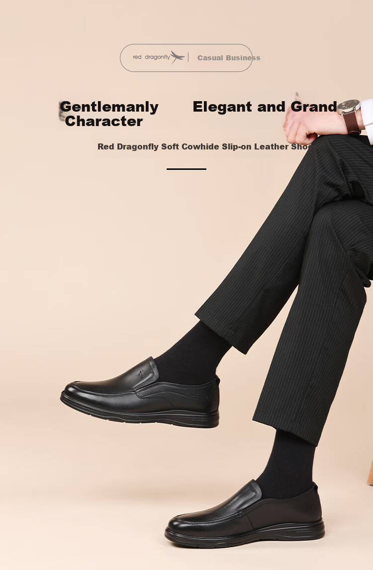 Red Dragonfly Men's Business Leather Slip-On Soft Sole Casual Shoes WTA161441 Black Size 42 1