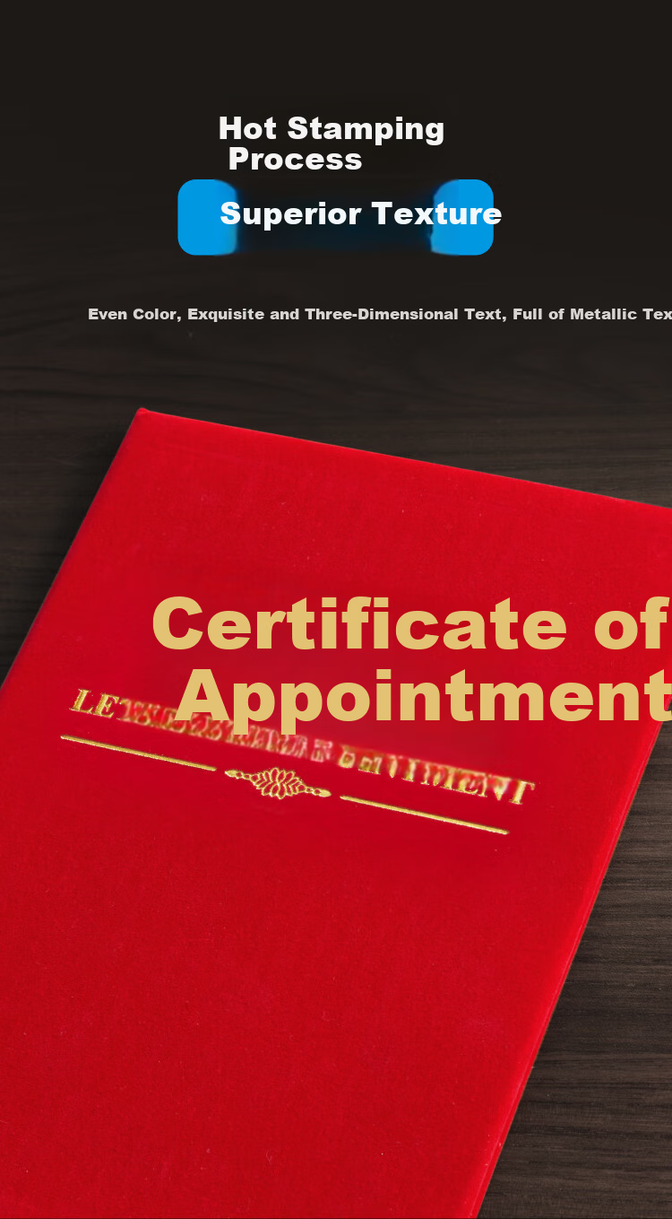 DSB (Disbi) [10-Pack] Large 12K Appointment Certificate Cover for Company Employee Award Certificates, Classic Gold Stamping Style (Includes 20 Inner Pages) 050818 9