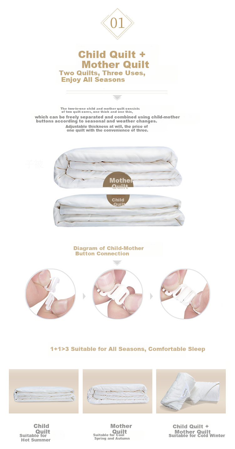 FUANNA Gold CP Silk Soybean Quilt, Winter Antibacterial Comforter, Double Size Winter Quilt, Approximately 6.6 Jin (3.3 Kg), 230*229cm 4