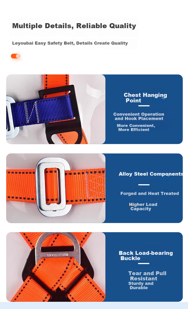 Leyoubaiyi 5-Point Safety Harness 2m Double Large Hooks Fall Protection Safety Rope for High-Altitude Work 10