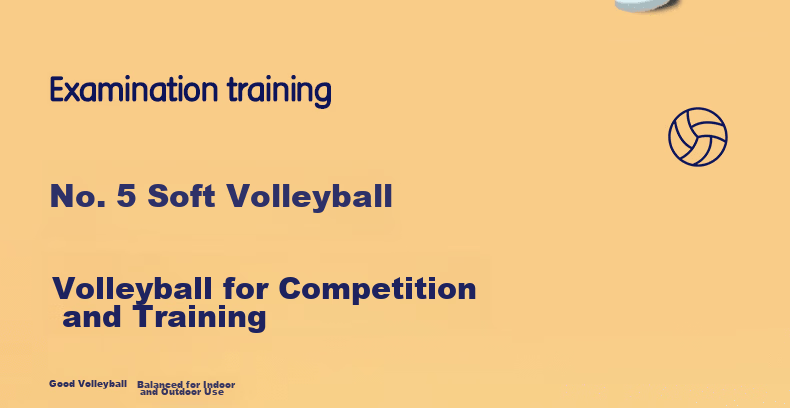 Deli Elementary School Volleyball, Size 4 Youth Exam Sports Elastic PU Wear-Resistant Training Volleyball 5