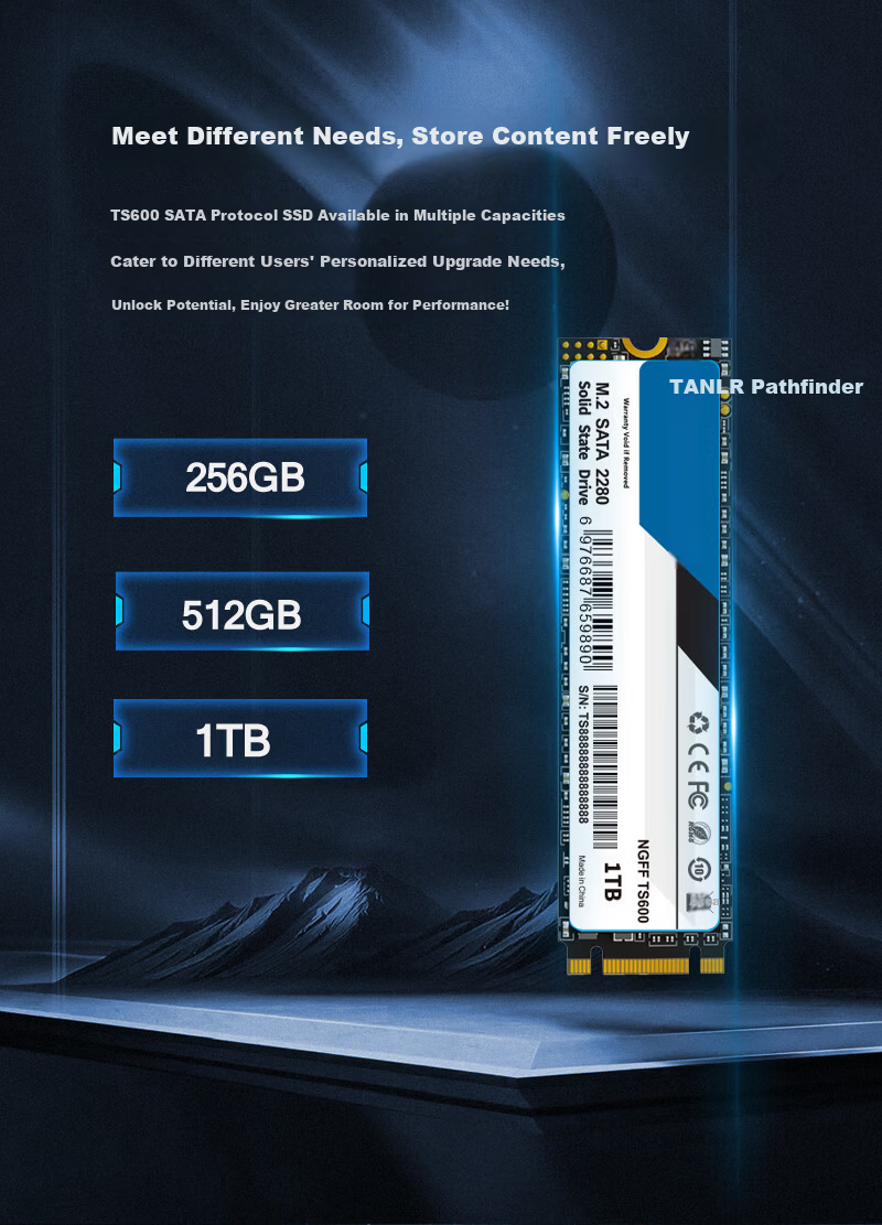 TANLR 1TB SSD Solid State Drive M.2 SATA 2280 NGFF Desktop Laptop Compatible High-Speed 560MB/s Reading Rayling TS600 2