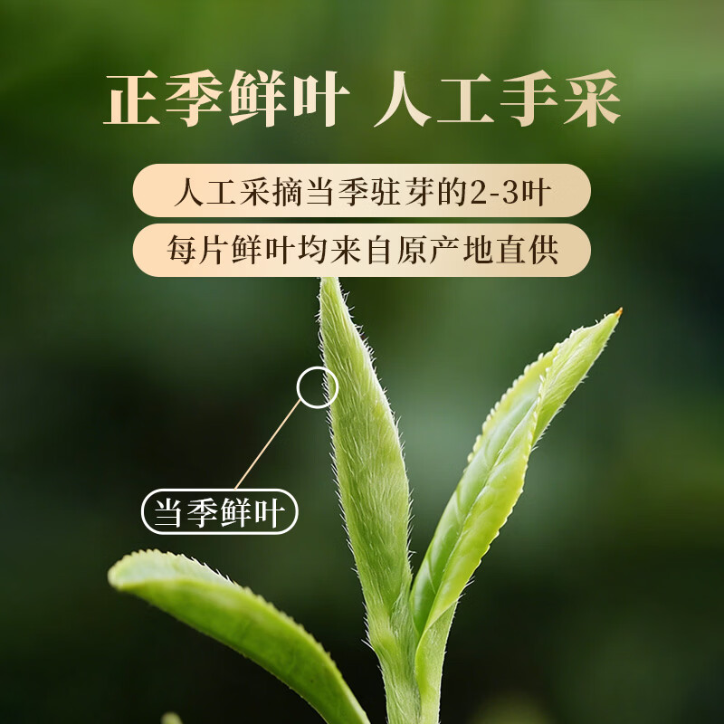 传奇会乌龙茶 安溪铁观音 浓香型特级500g茶叶2026新茶礼盒装自己喝送礼