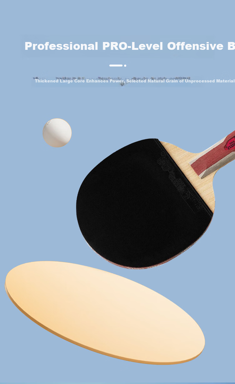 DHS Kuangbiao Six-Star Table Tennis Paddle, Straight Handle, Reverse Rubber, Combination of Looping And Fast Attack, F6006, Includes Racket Case 3