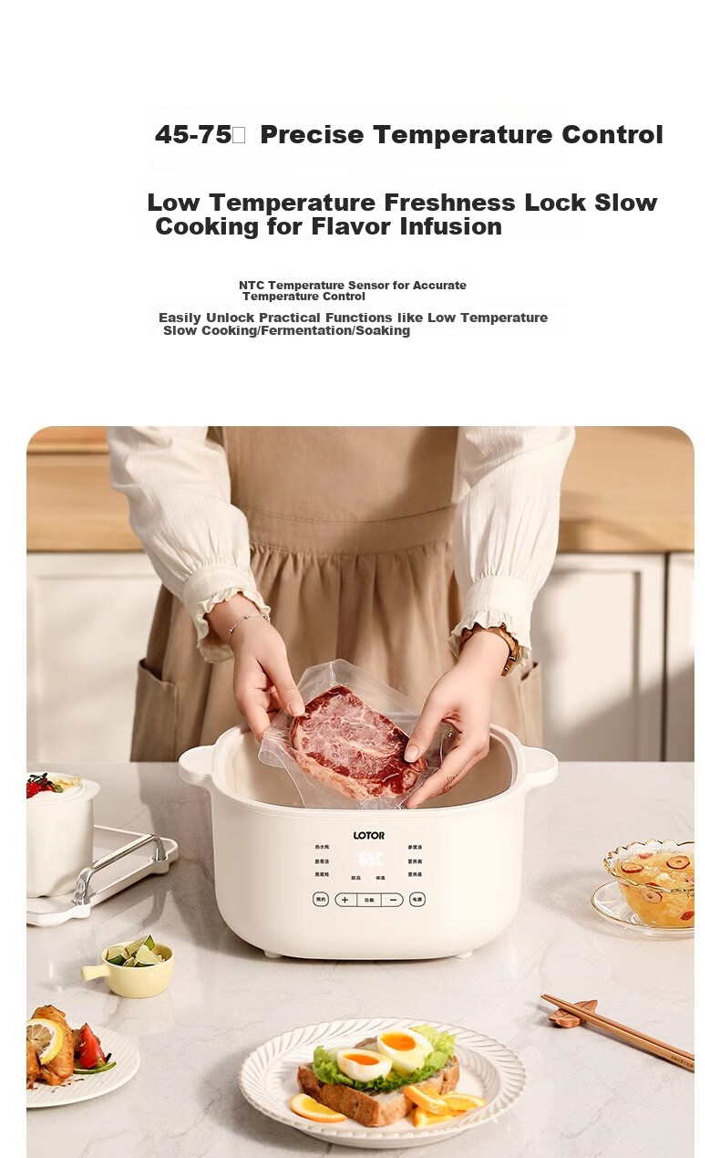 LOTOR Multifunctional Electric Stew Pot, Home Double Boiler, Small Capacity Soup Pot, Bird's Nest Stewing Cup, Soup Cooking Pot, Baby Porridge Cooking Tool 9