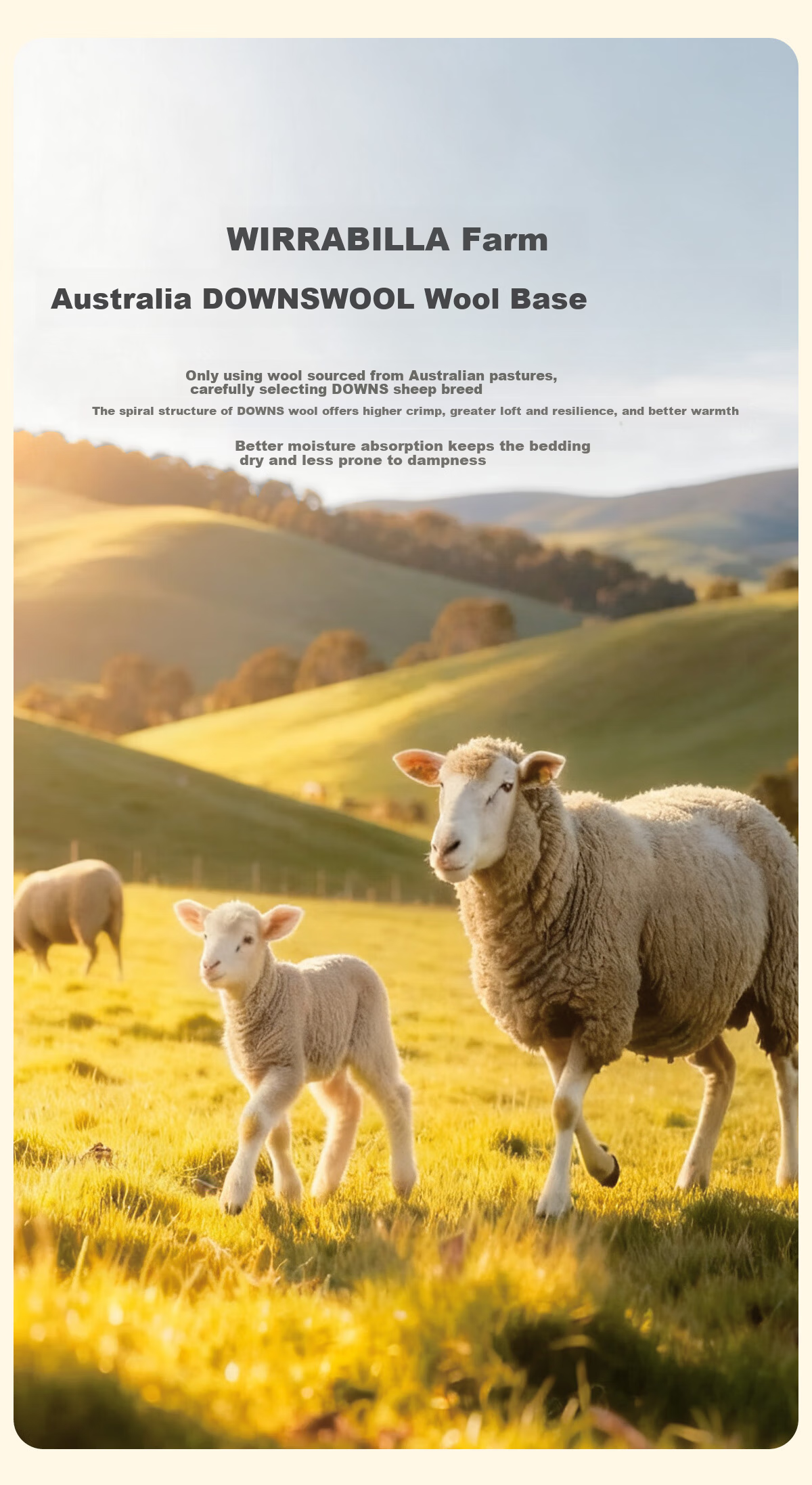 Mercury Kids Wool Quilt Winter 100% Australian Wool A-Class Warm Thick Quilt Core Approx. 4.3 lbs 150*210cm 5