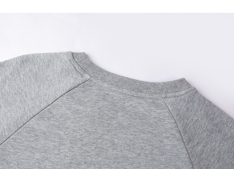 Demana [Cloud Oxygen Cotton Series] Summer Heavywork Pony Embroidery Crew Neck Long Sleeve Slim Fit Petite Sweatshirt for Women Premium Feel 19