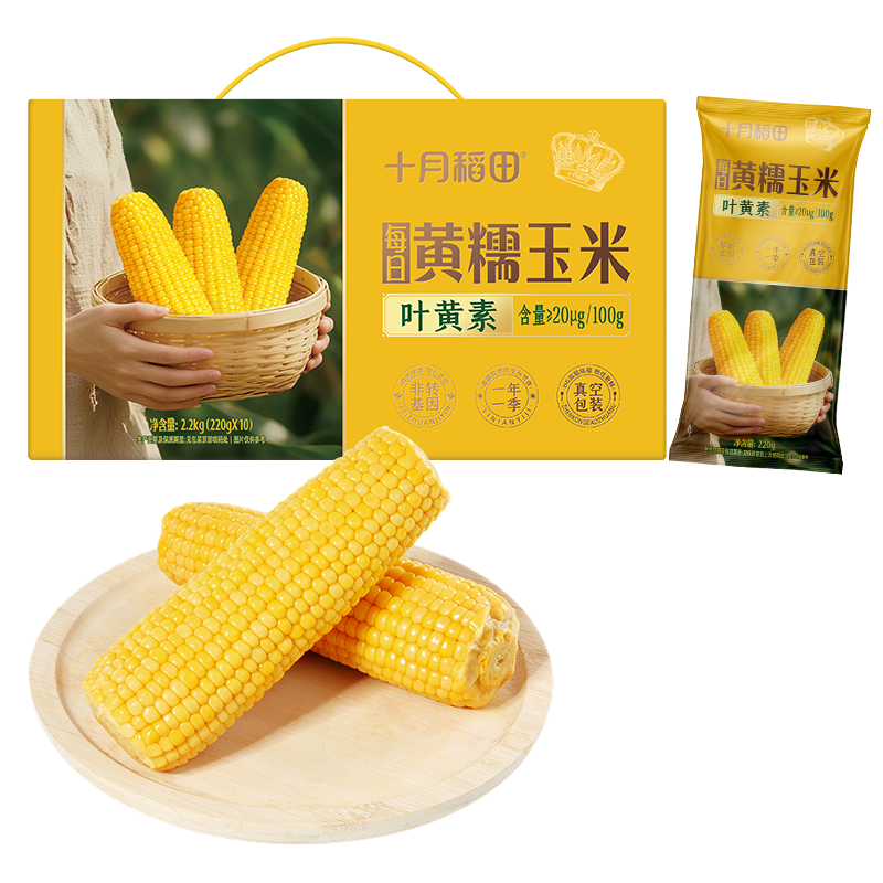 十月稻田 黄甜糯玉米 10根 4.4斤 东北甜黏玉米棒 早餐 杂粮礼盒