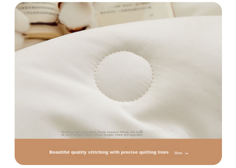 MUJI A-Class 100% Xinjiang Pure Cotton Quilt Core Autumn Winter Thick 6 Jin 200*230cm 13
