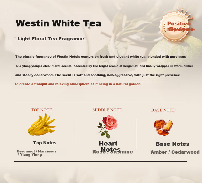 Huitai Home Aromatherapy Diffuser Long-lasting Indoor Room Fragrance Automatic Essential Oil Sprayer Girl Birthday Gift 9