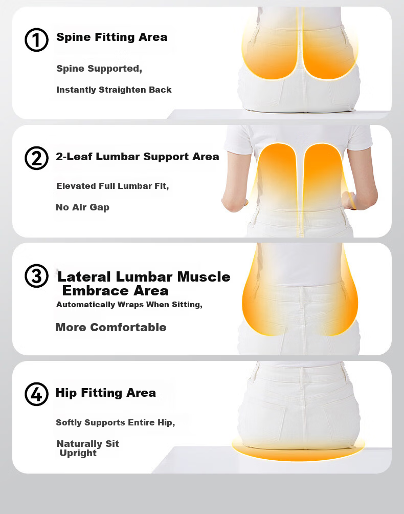 SITGOOD Lumbar Support Seat Back Cushion Waist Pillow Posture Chair Lumbar Cushion STG Seat Cushion Pillow Gift Office Lumbar Support Cushion 24