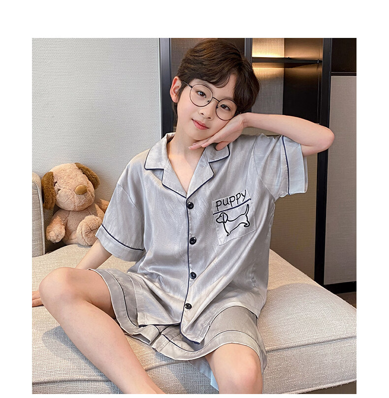 Langsha Children's Pajamas Boys Youth Summer Thin Lightweight Ice Silk Short Sleeve Two-Piece Homewear 2026 New Model 10