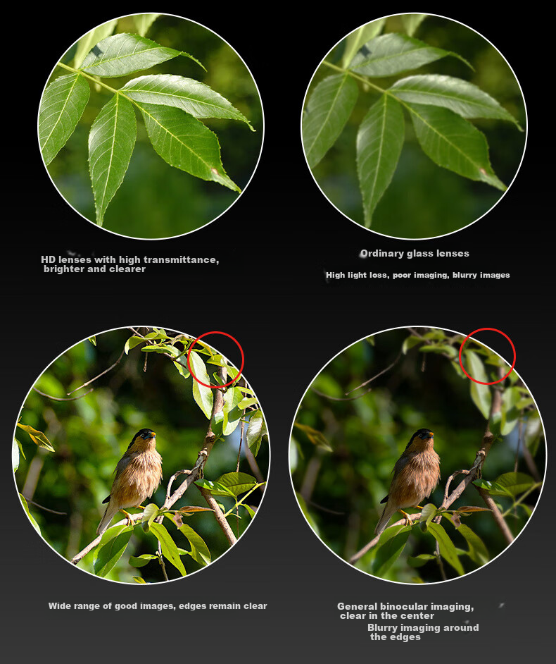Feilaishi High-Power HD Binoculars Low-Light Night Vision for Beekeeping Birdwatching Concert Teaching Handheld 8