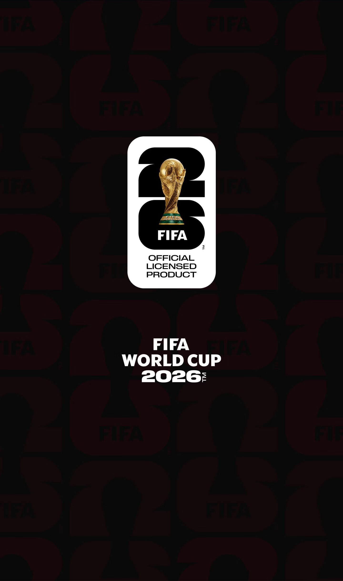 Ginza FIFA World Cup Canvas Tote Bag Fan Gift Souvenir for Men and Women 5