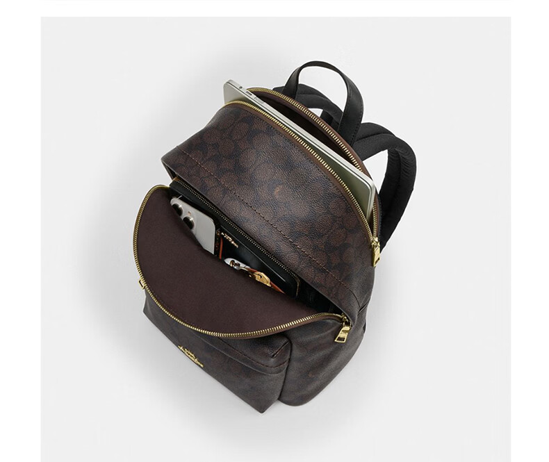 COACH Women's TAYLOR Backpack Walnut Brown 8