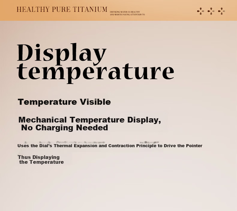 Daka Pure Titanium Insulated Thermos Van Gogh Collaboration Temperature Display Direct Drinking Tea Infuser Large Capacity Outdoor Stew Tea Cup Gift Mug 9