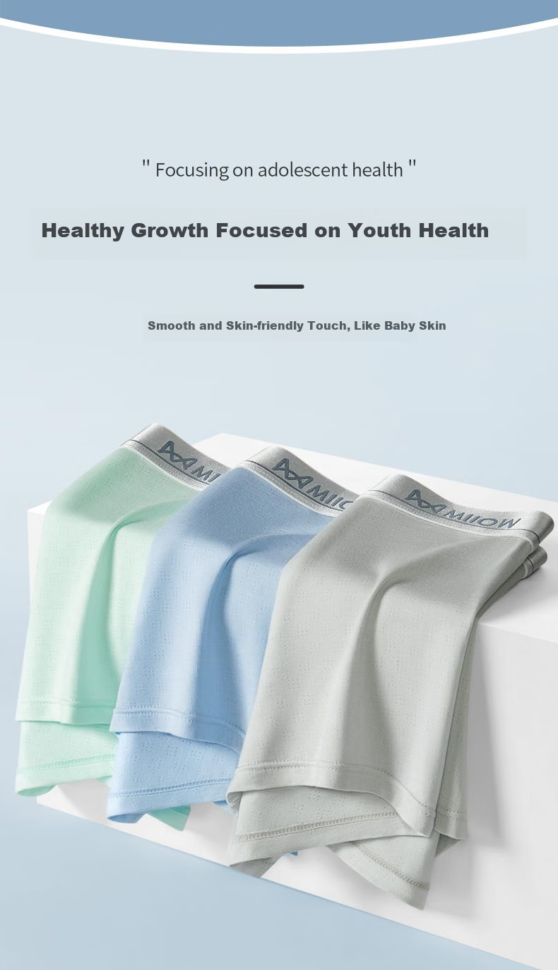 MiiOW Youth 10A Antibacterial Cooling Thin Breathable Mesh Mulberry Silk Ice Silk Boys Underwear 11
