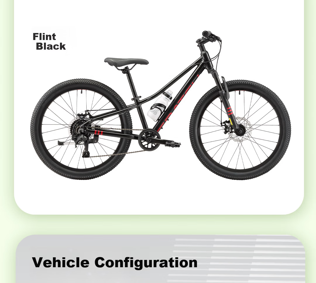 Baiqi Y2 Mountain Bike Youth School Commuter Bicycle 24 Inch 8-Speed Tundra Green 12