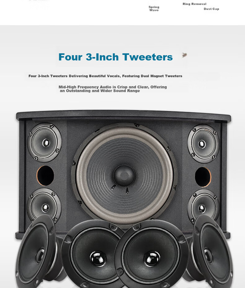 HYUNDAI Professional 10-Inch Card Holder Home Theater KTV Speaker Home Combo Professional Entertainment Karaoke Meeting Stage Equipment Vertical Speaker 7