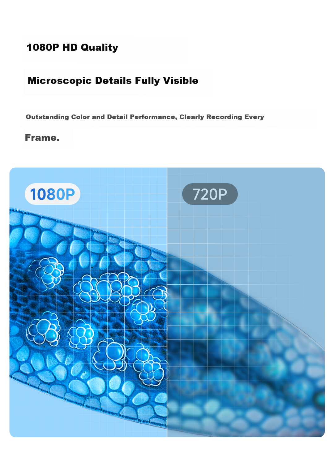Dangdangli Electronic Microscope Portable Handheld Science Experiment Toy for Boys and Girls Kids Students Birthday Children's Day Gift 8