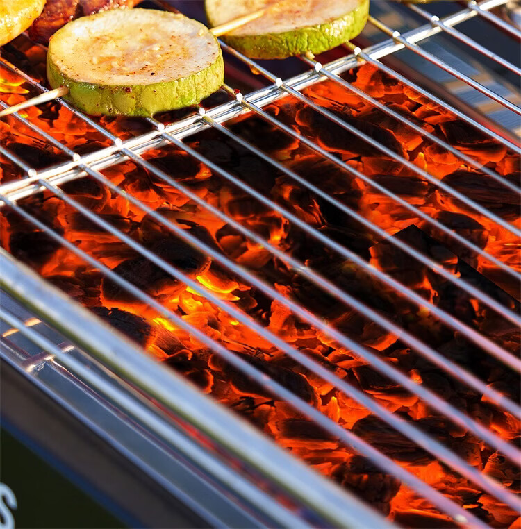 CAMELJEANS BBQ Grill Home Barbecue Rack Skewers Outdoor Camping Portable Charcoal Detachable 174BH05719 Black 15