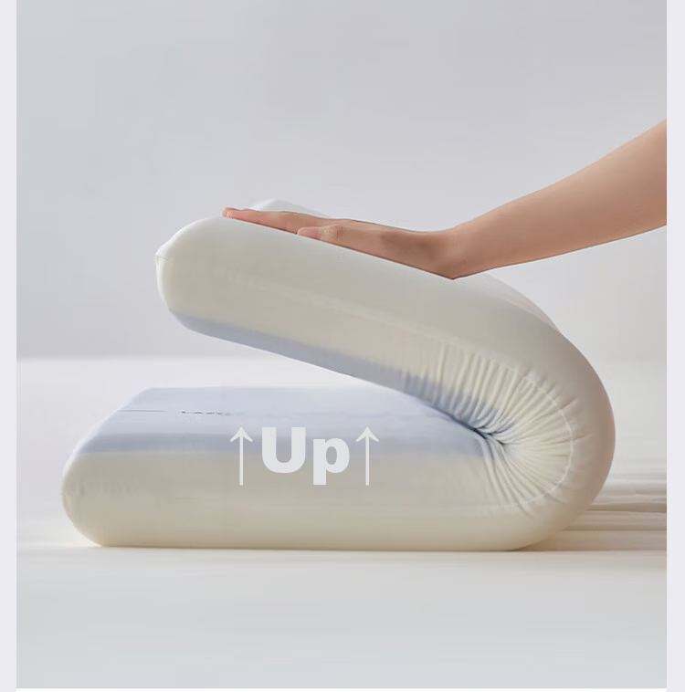 LIIESEN 2nd Generation Slow Rebound Deep Sleep Memory Pillow PRO Neck Support Cervical Memory Foam Pillow Adult Gift Box Set 11