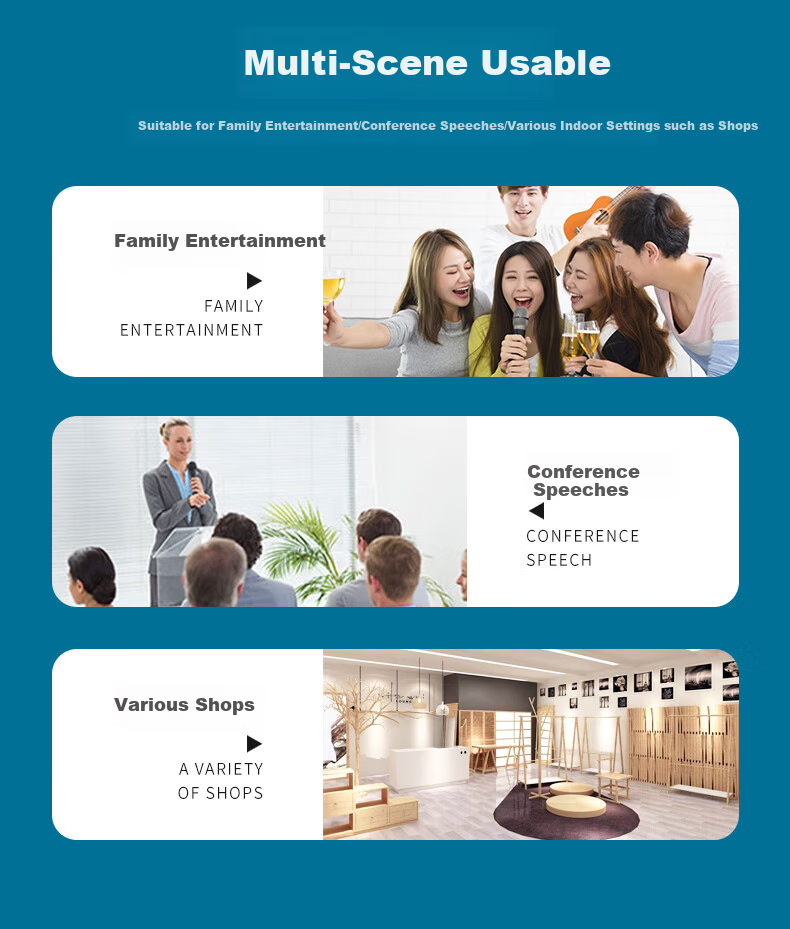 HYUNDAI Professional 10-Inch Card Holder Home Theater KTV Speaker Home Combo Professional Entertainment Karaoke Meeting Stage Equipment Vertical Speaker 11