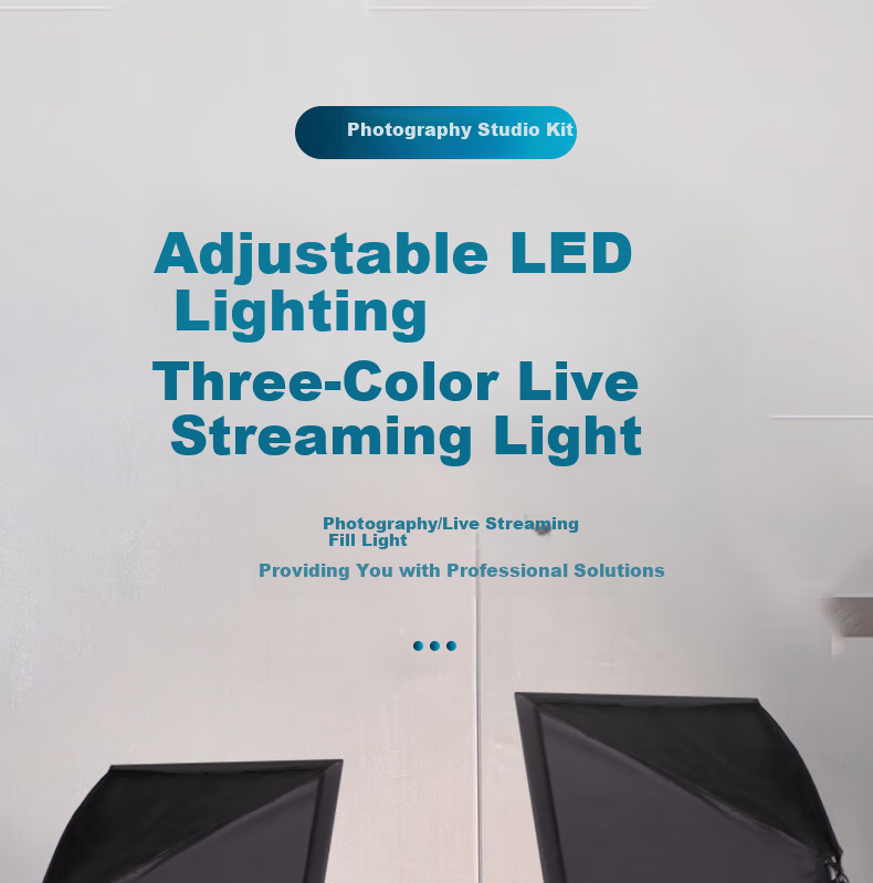 Photography Gadget [Hot Sale 50K+] Live Streaming Fill Light Studio Kit LED Outdoor Portrait Continuous Softbox Lighting Equipment for Influencers 1